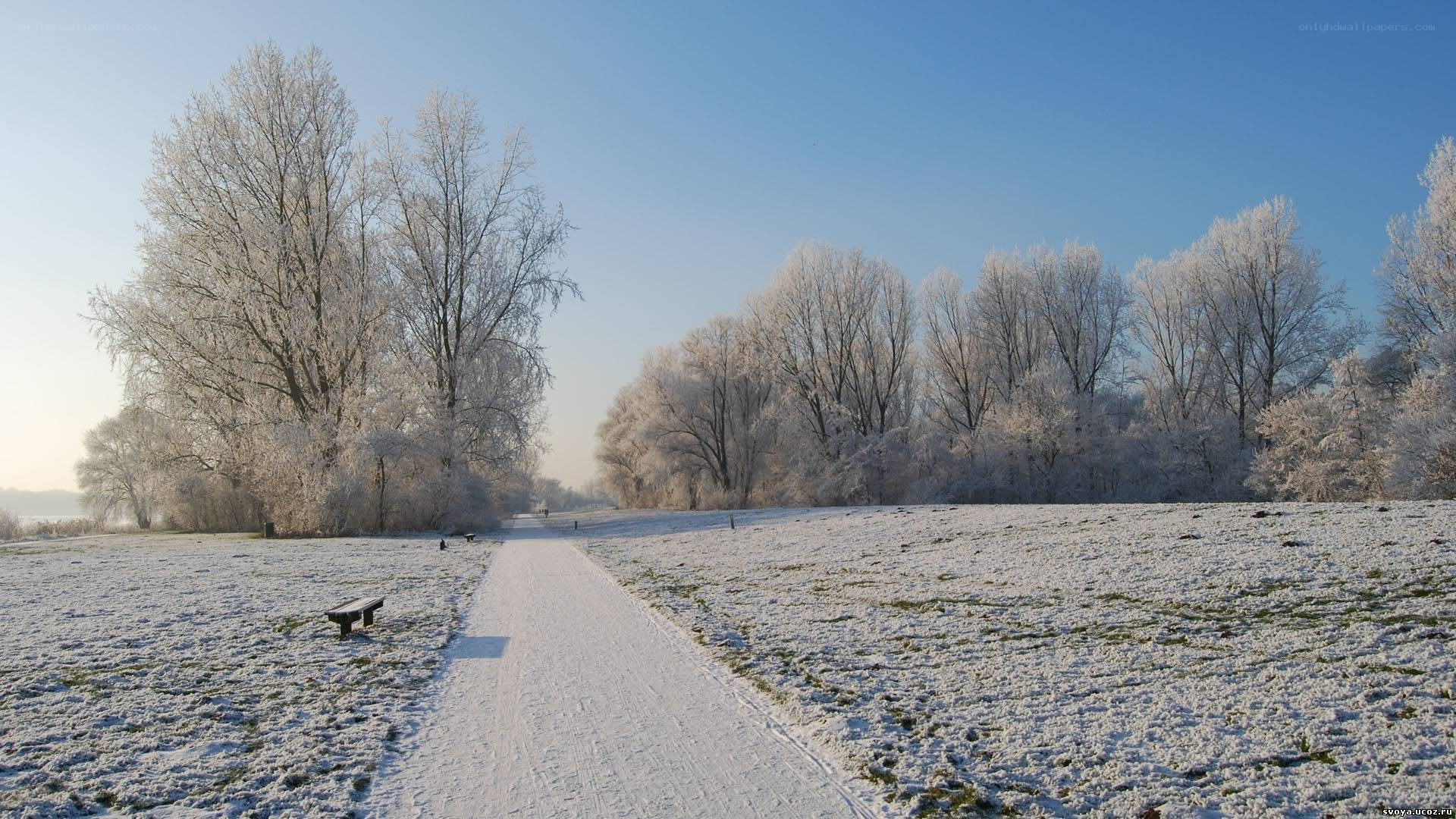 frosty winter path