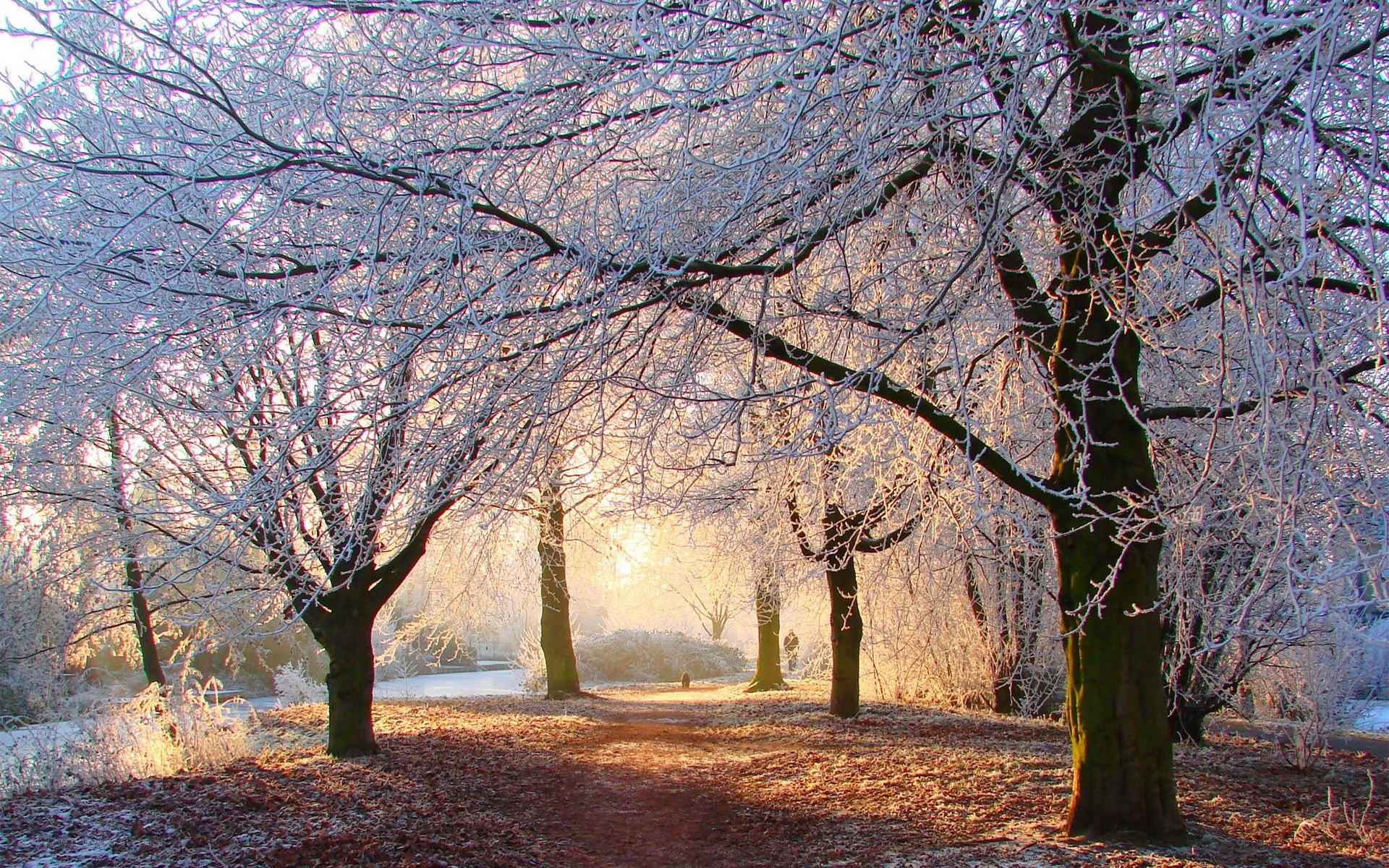 Frosty winter path at sunrise