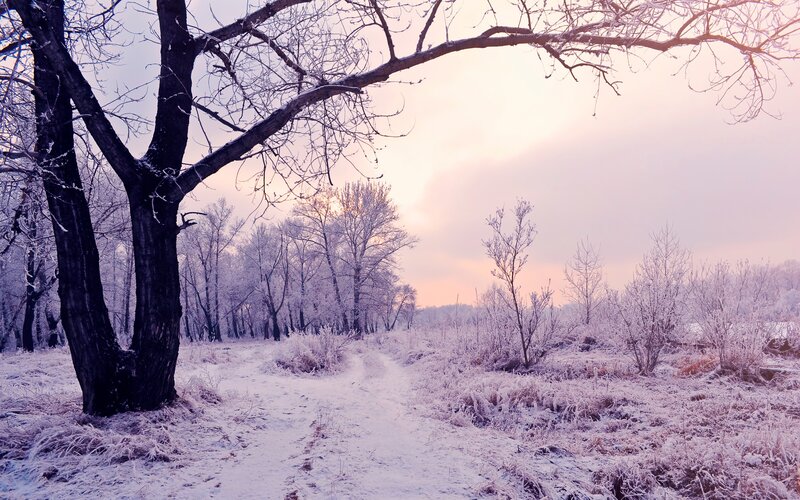 frosty winter path at sunrise