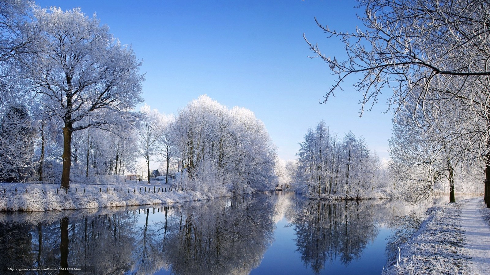 frosty winter river landscape
