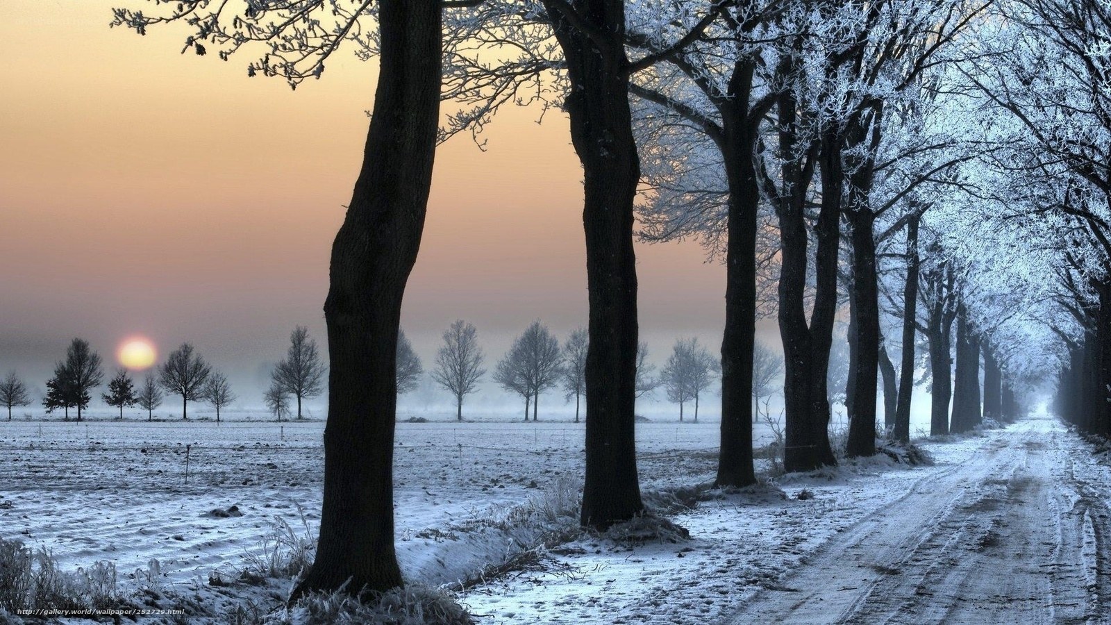 Frosty winter road at sunrise
