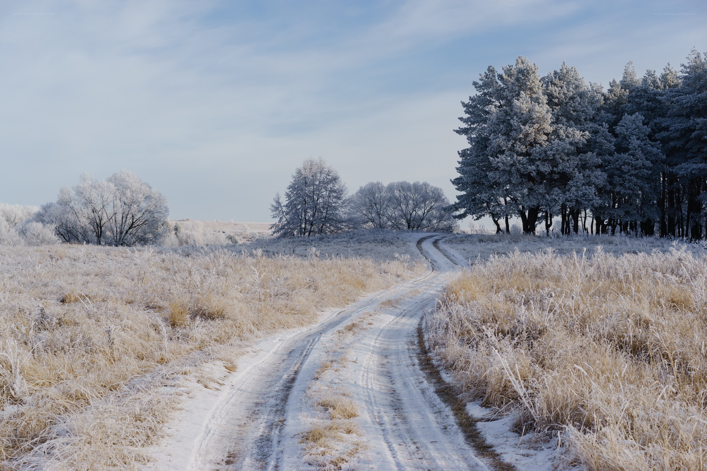 Frosty winter road landscape