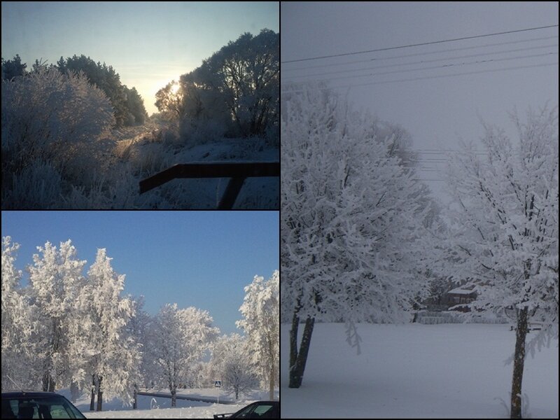 Frosty winter scenes