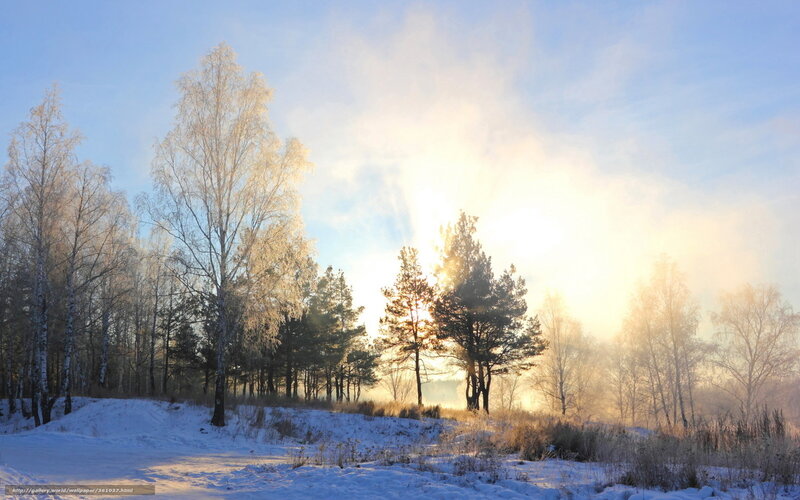 frosty winter sunrise