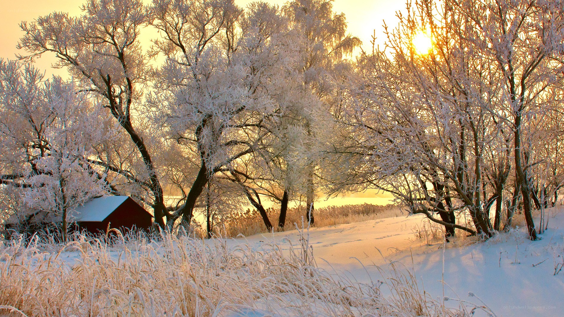 Frosty winter sunset by the lake
