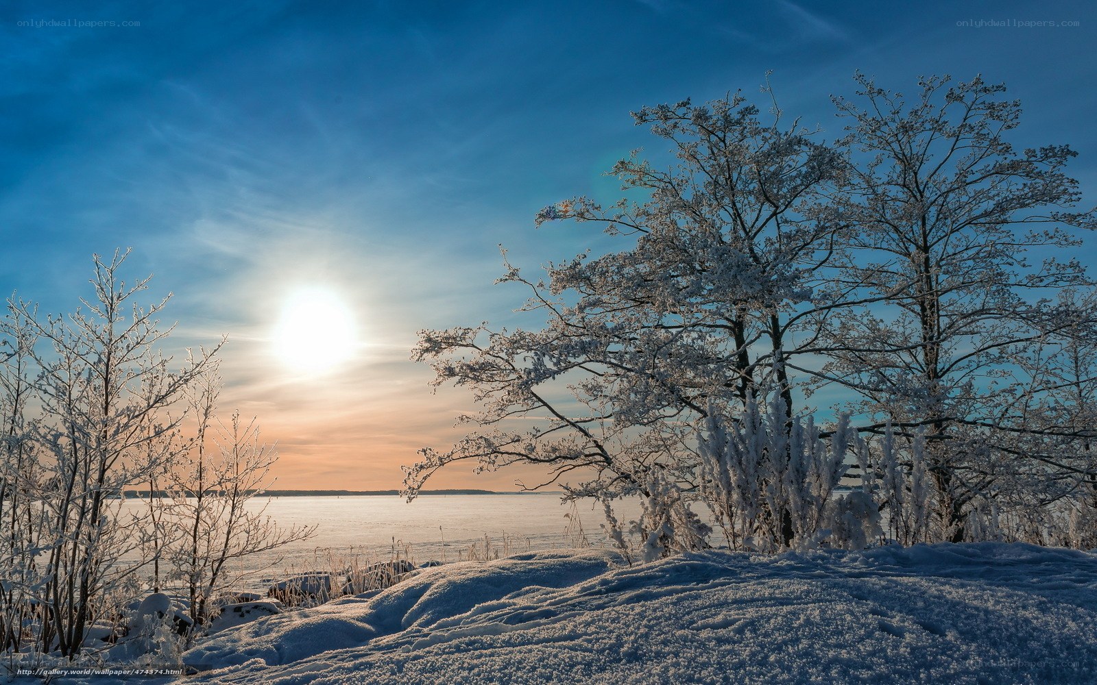 Frosty winter sunset by the lake