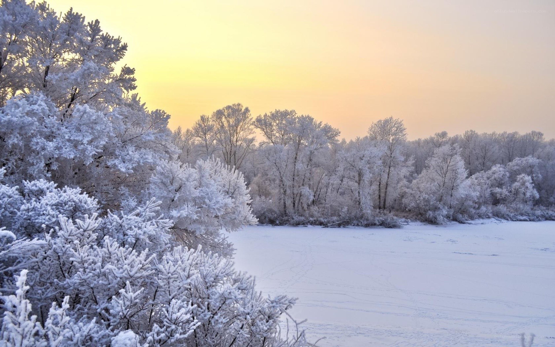 Frosty winter sunset by the river