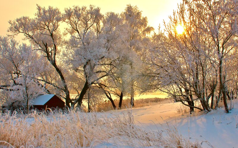 Frosty winter sunset scene
