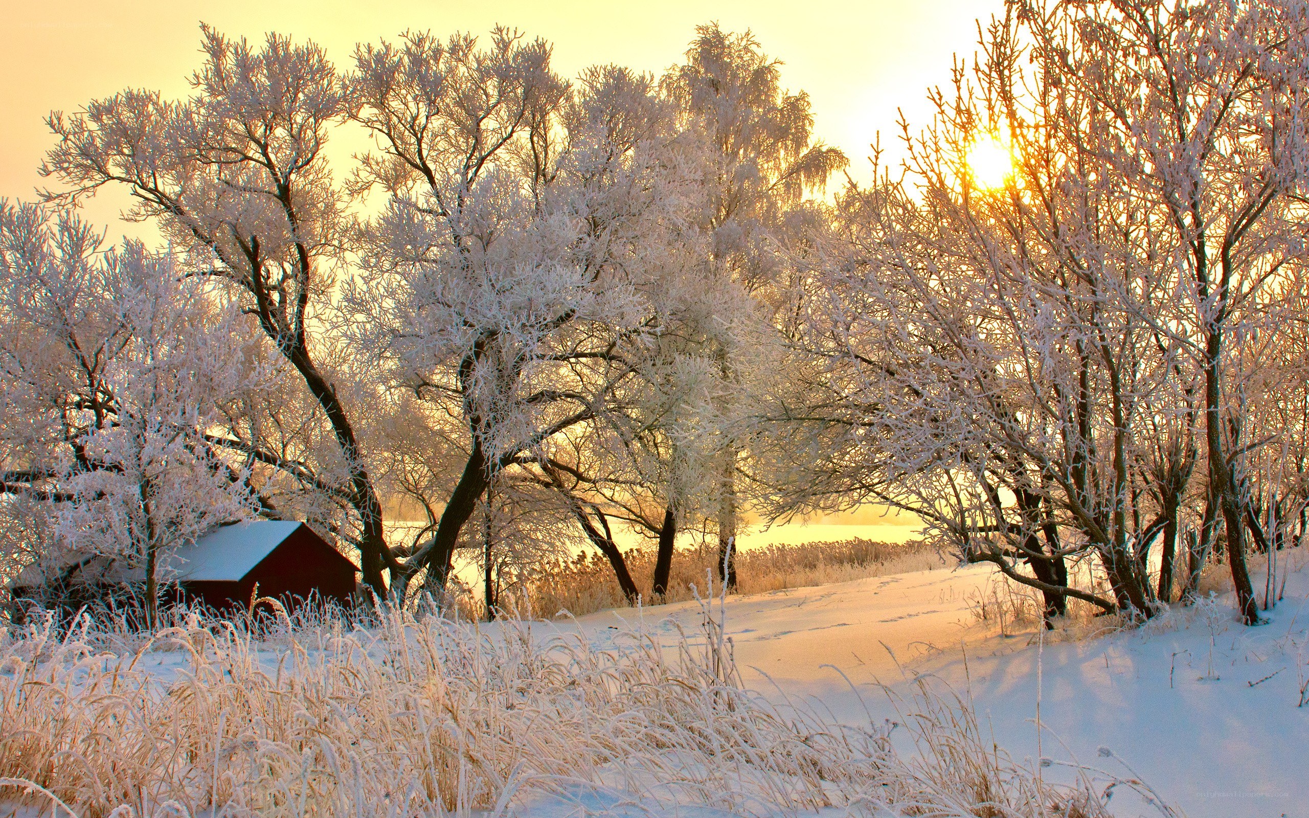 Frosty winter sunset scene