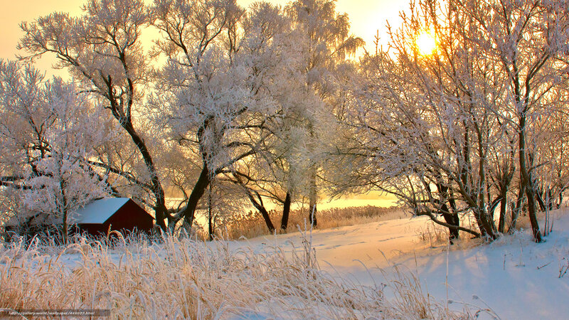 Frosty winter sunset scene