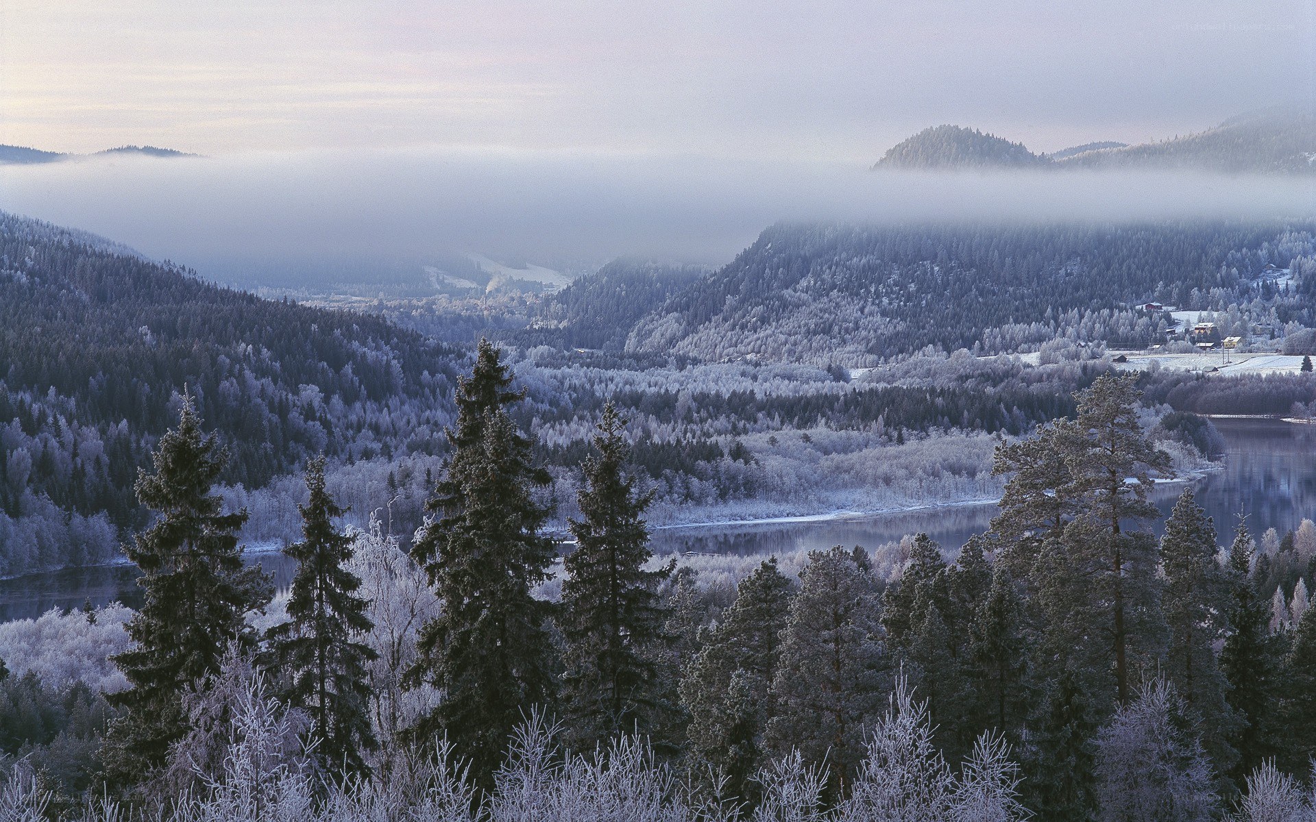 Frosty winter valley landscape
