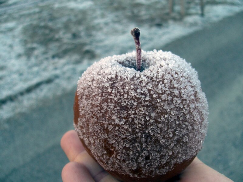 frozen apple in hand