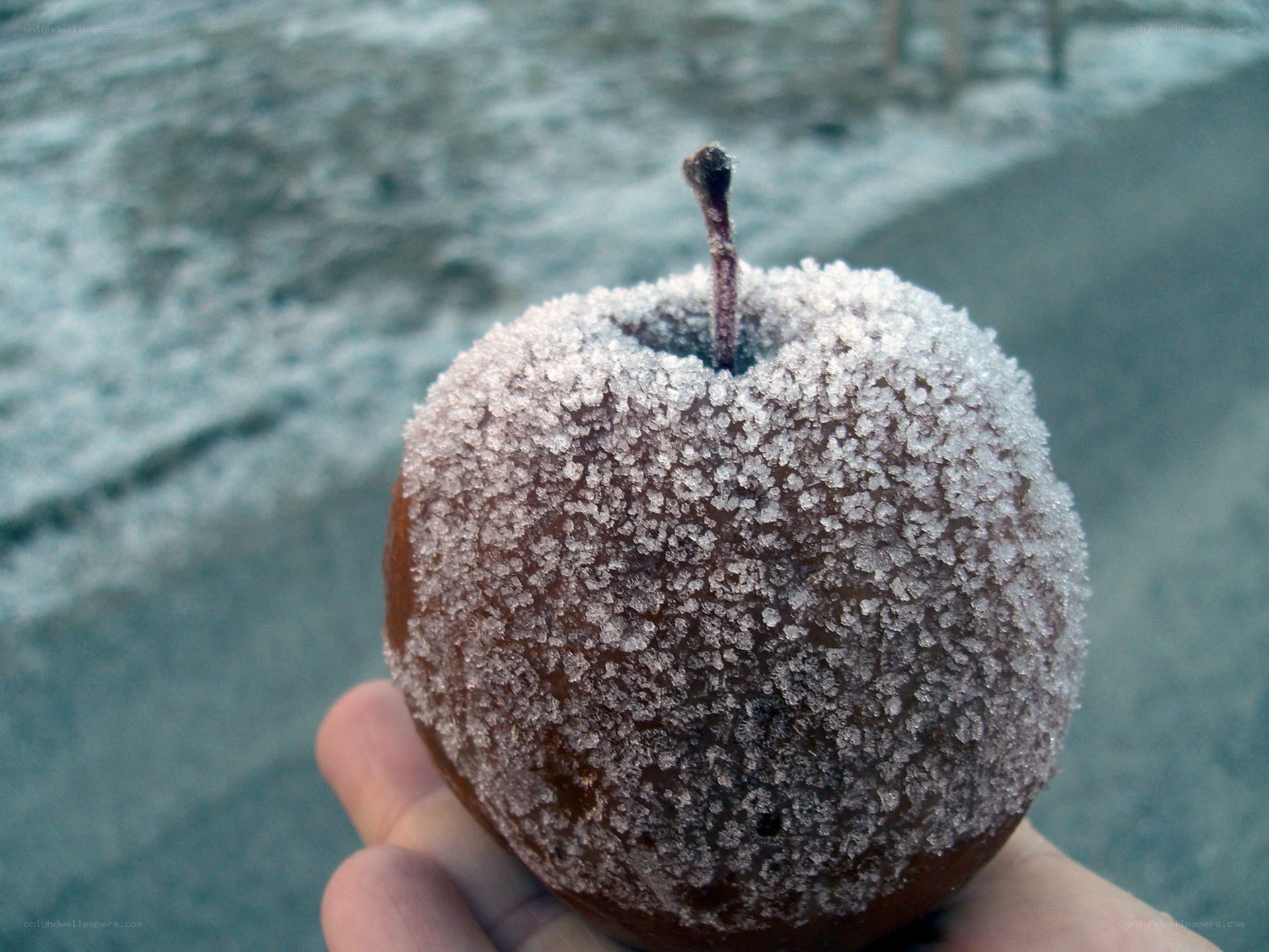 frozen apple in hand