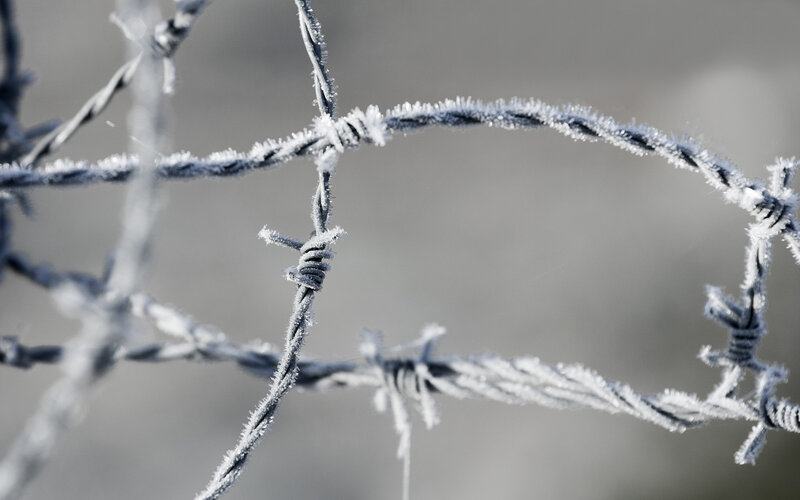 frozen barbed wire fence