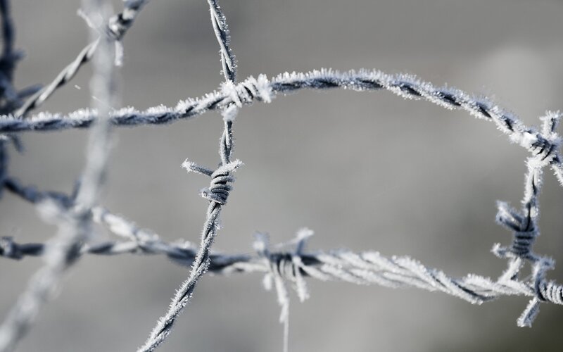 frozen barbed wire fence