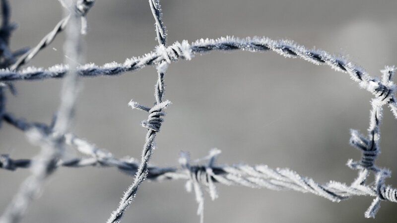 Frozen Barbed Wire — Gray