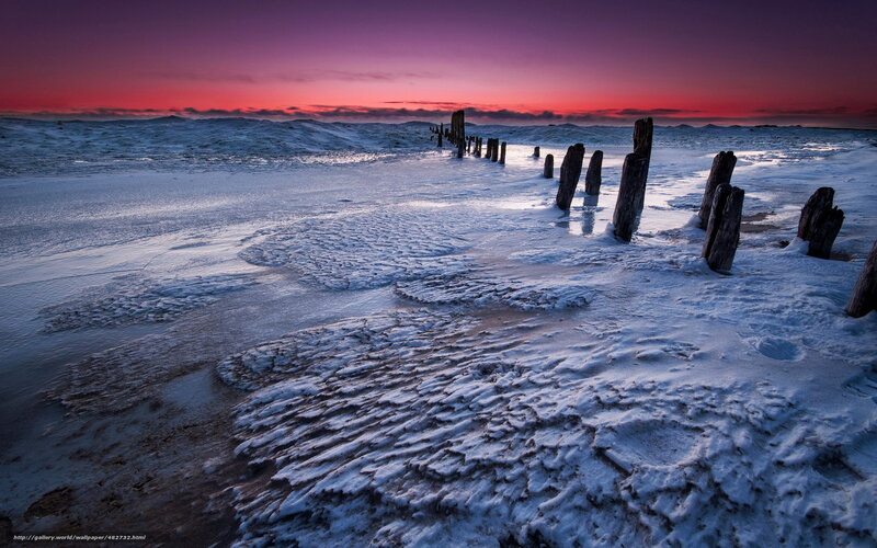 Frozen Beach with Wooden Posts