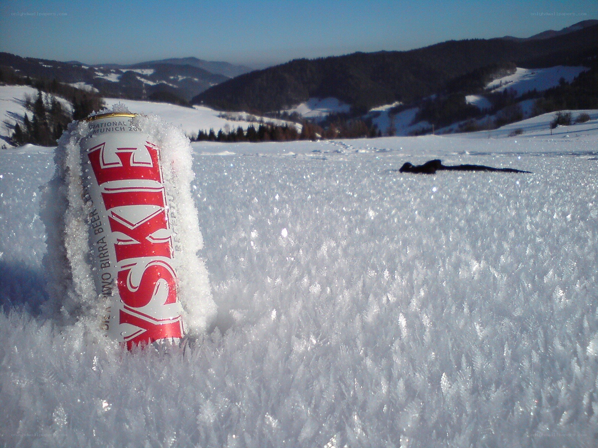 frozen beer can in snow