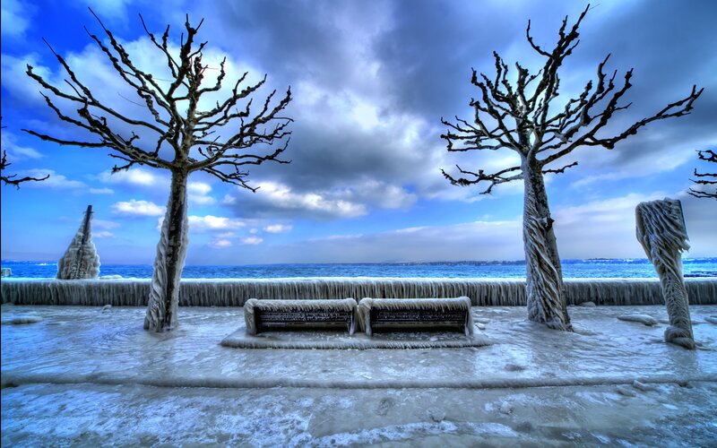 Frozen Bench and Trees