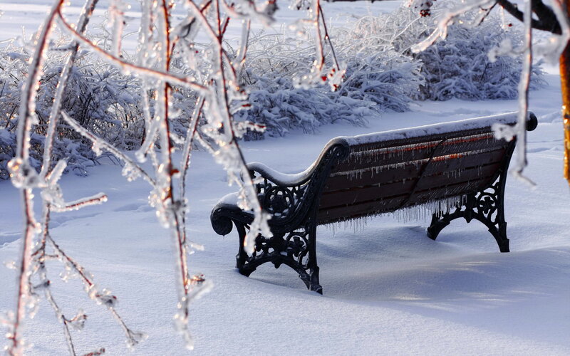 Frozen Bench in Snow