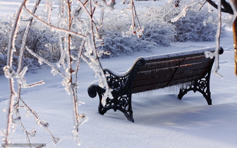 Frozen bench in winter park