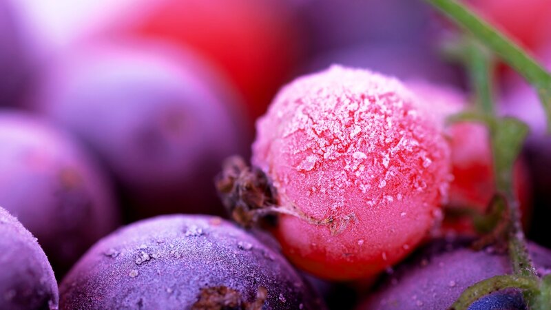 Frozen Berries