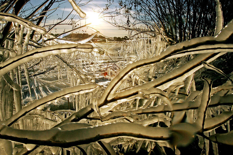 Frozen Branches and River