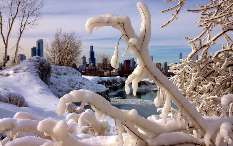 Frozen Branches in Winter — White