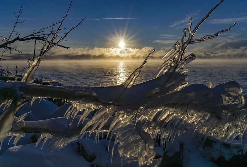 Frozen Branches on Lake Shore