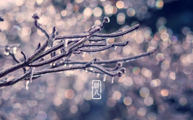 Frozen Branches with Icicles