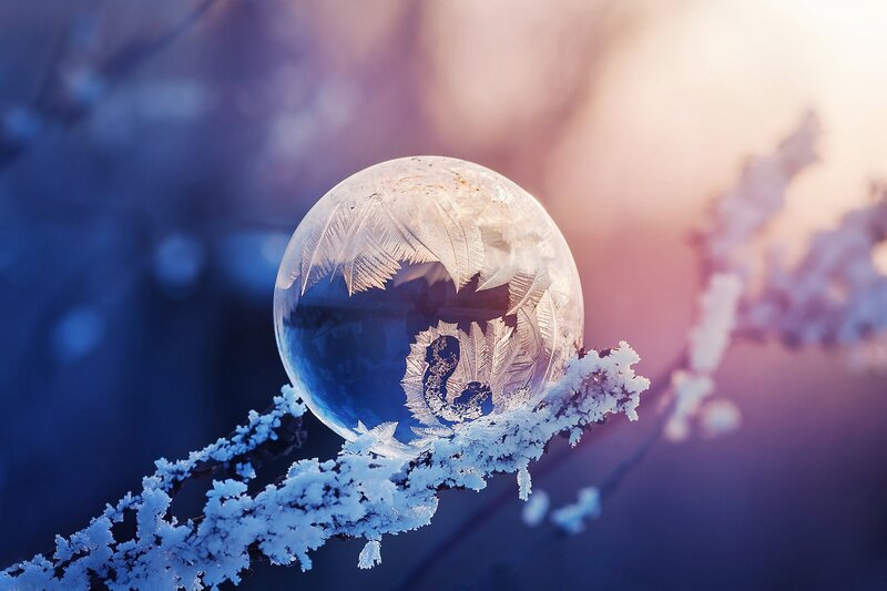 Frozen Bubble on Branch