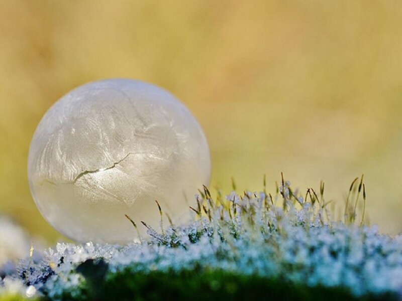 Frozen Bubble on Moss