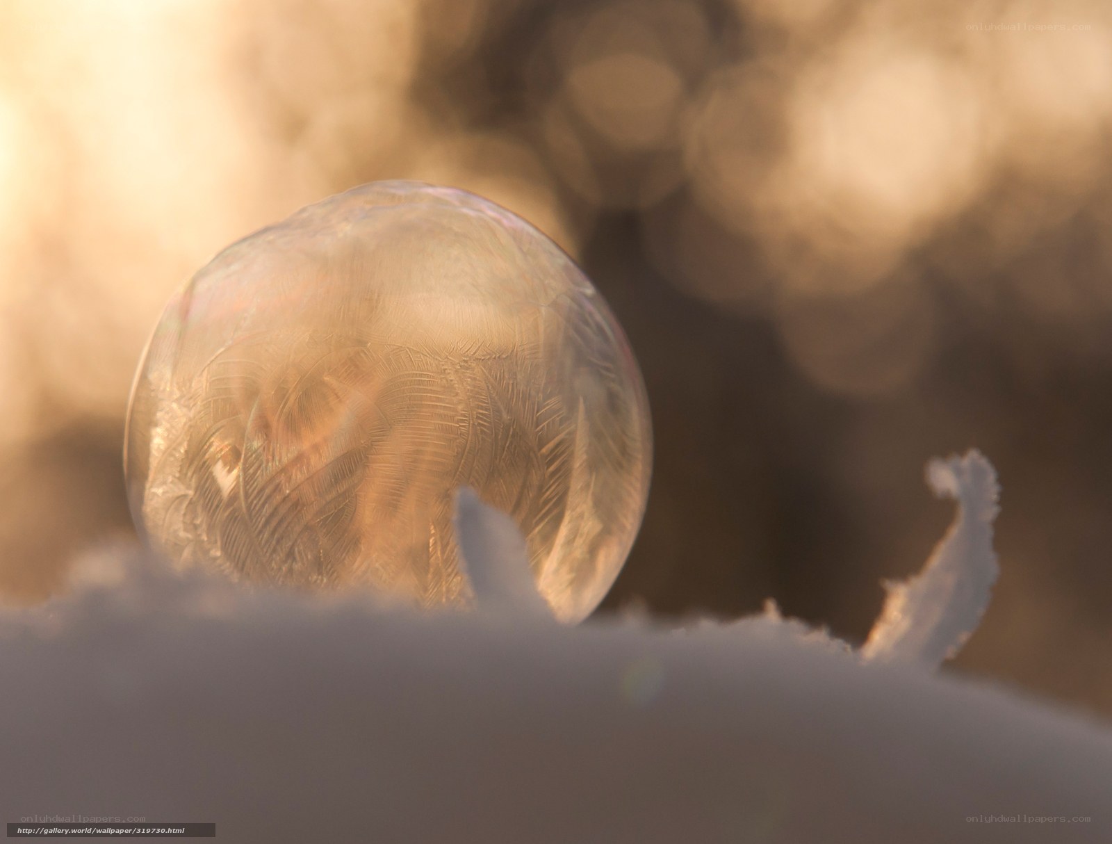 frozen bubble on snow