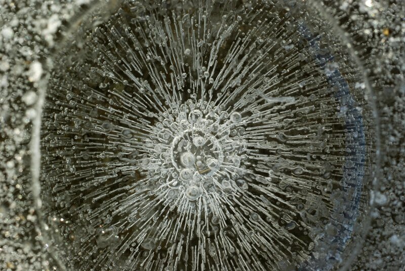 frozen bubbles in ice
