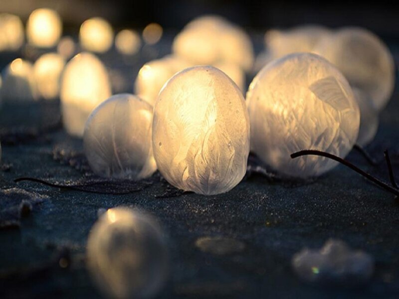 Frozen Bubbles on Ground — White