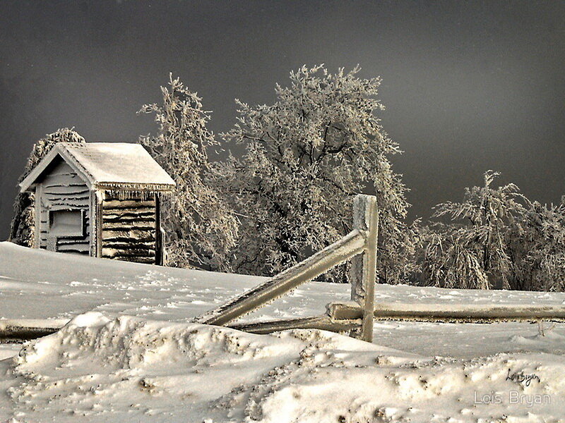 Frozen Cabin in Snow