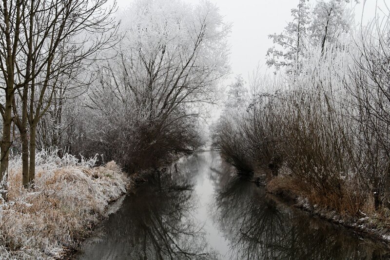 Frozen Canal in Winter