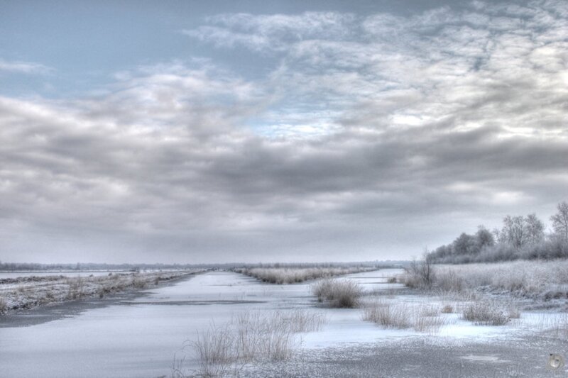 Frozen Canal in Winter — White