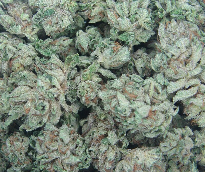 Frozen Cannabis Buds