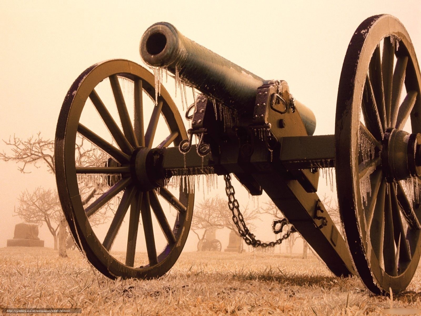 Frozen cannon on battlefield