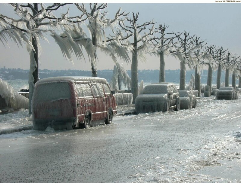 Frozen cars and trees by lake