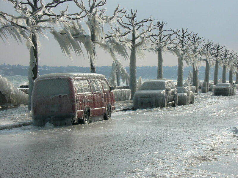 Frozen cars and trees by lake