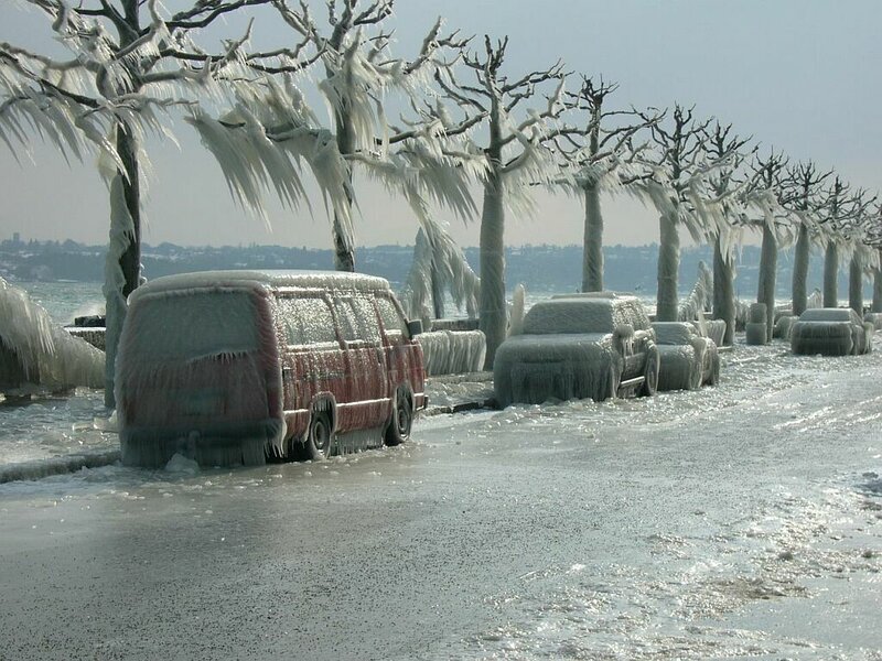 Frozen cars and trees by the lake