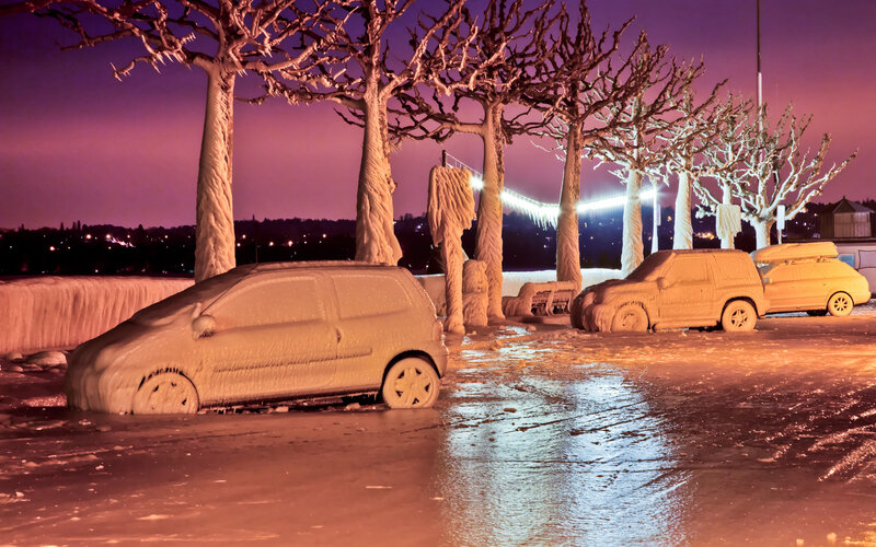 Frozen Cars and Trees — Purple