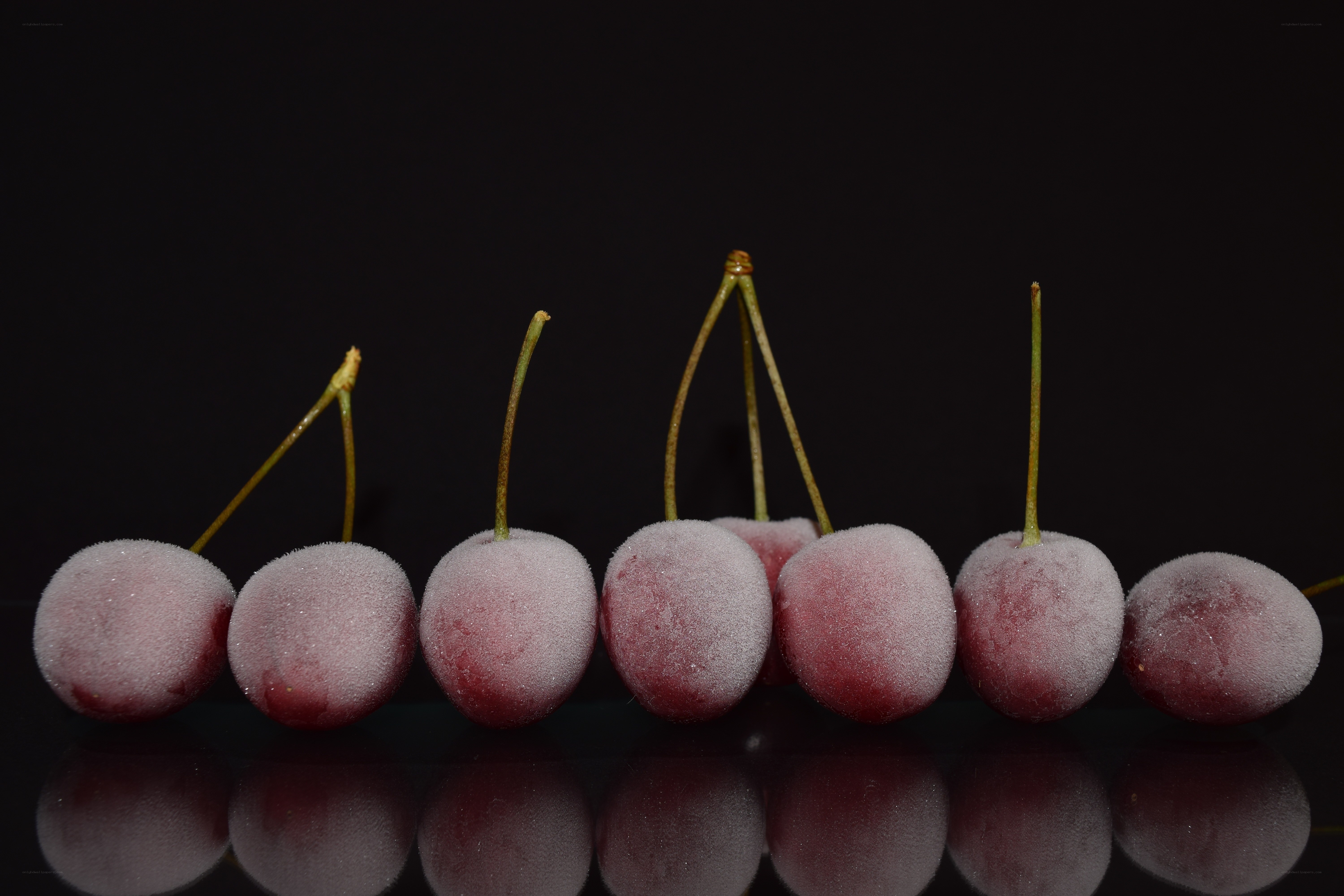 frozen cherries on black