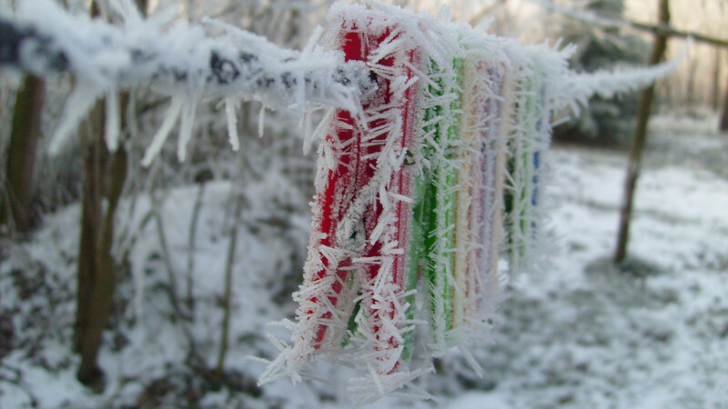 frozen clothespins on a line
