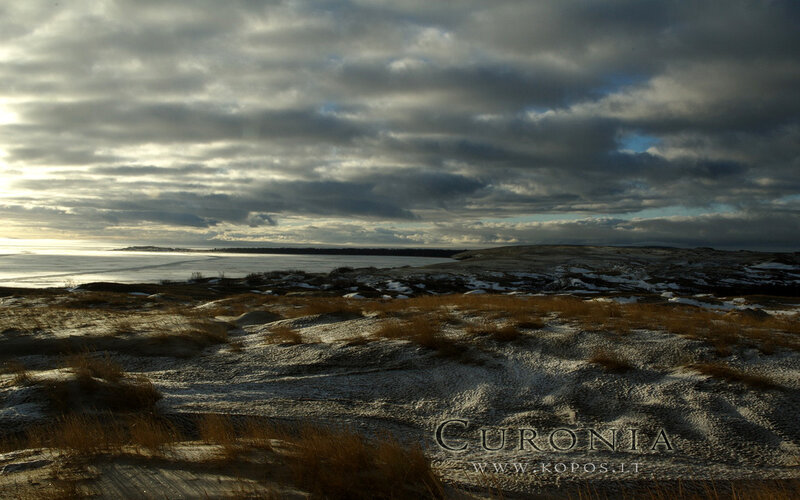 Frozen Coastline Landscape
