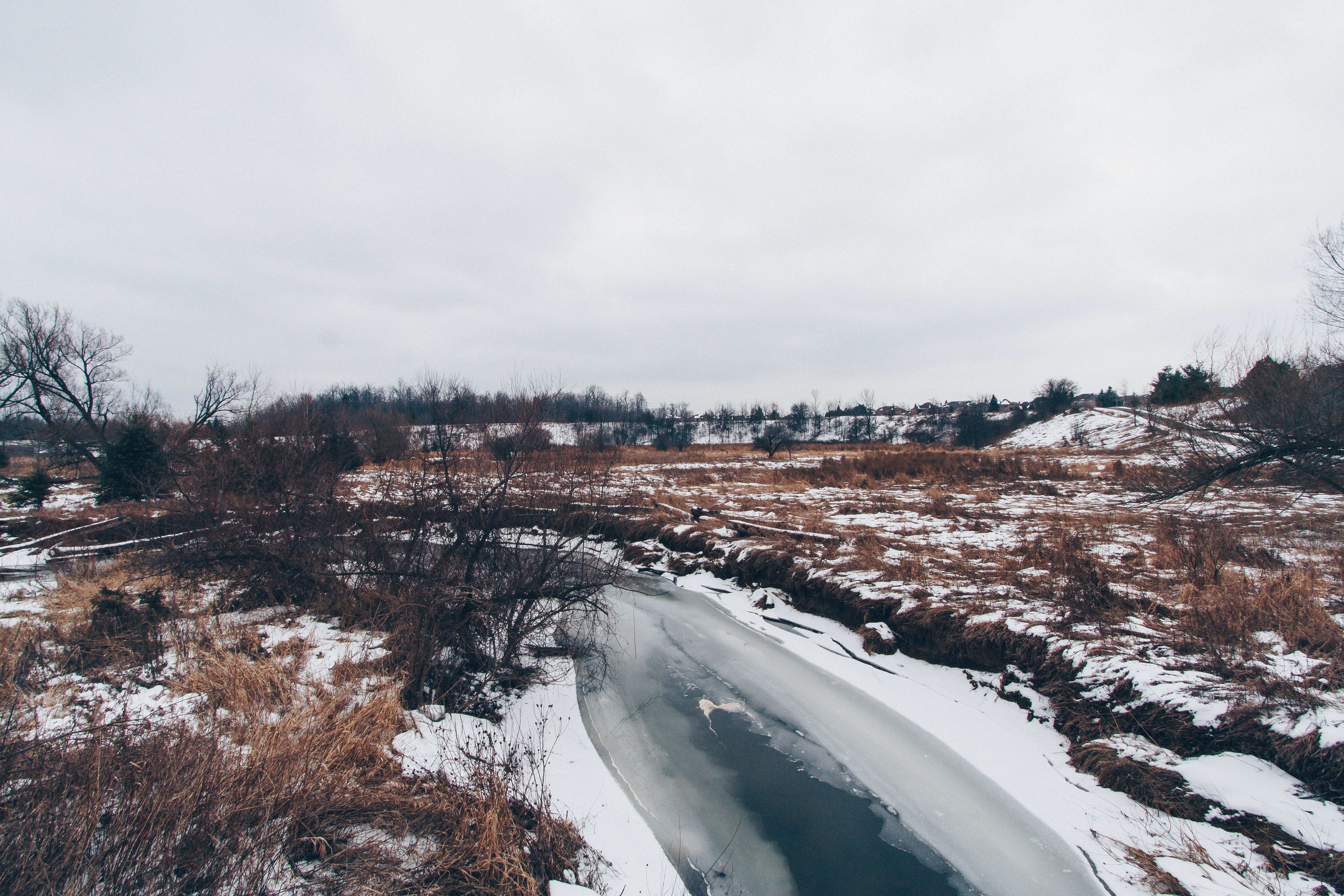 Frozen creek in winter landscape