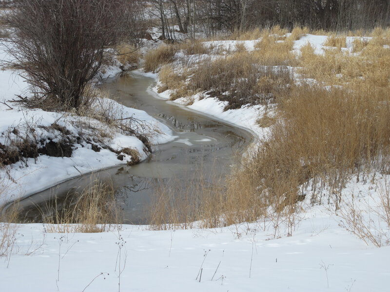 Frozen Creek in Winter