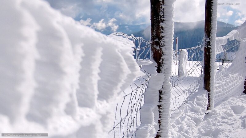 Frozen Fence in Snow
